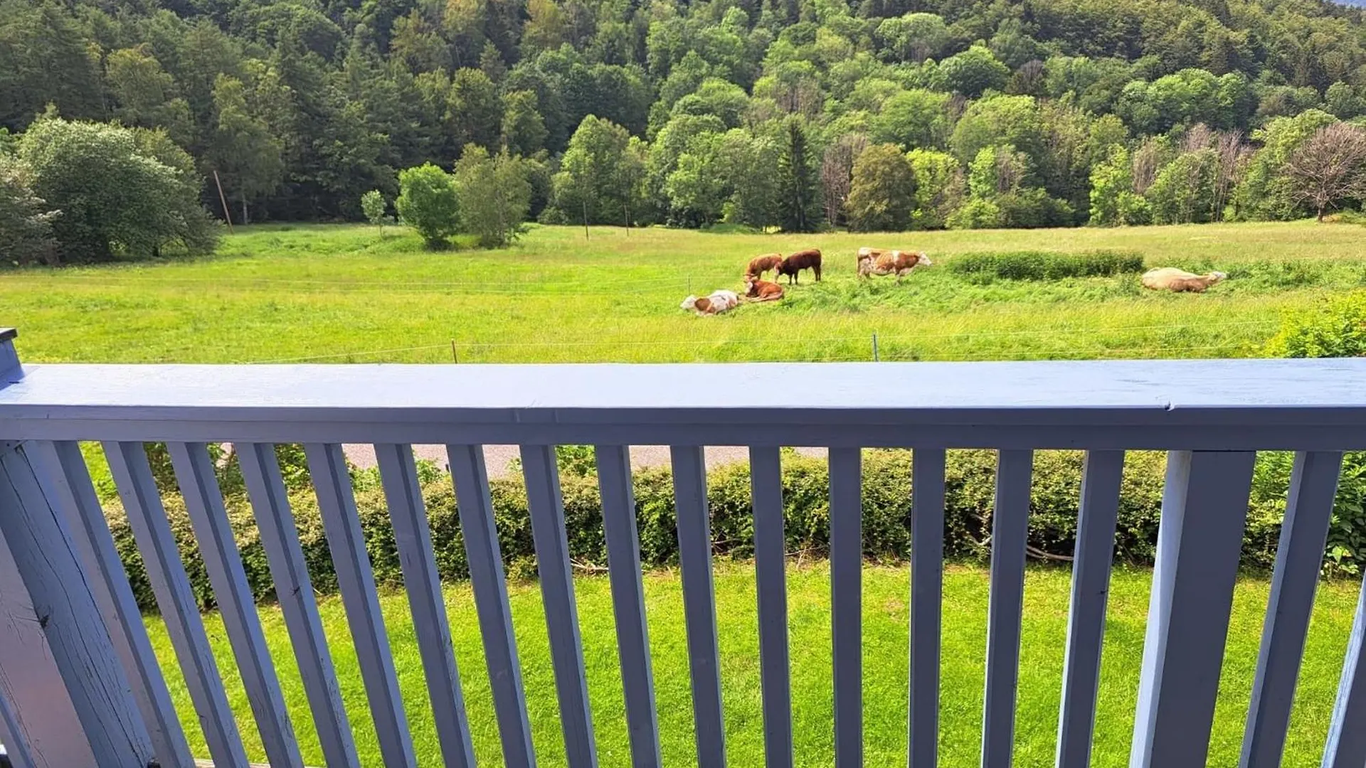 Ferienwohnung Sonnenschein Schofweg
